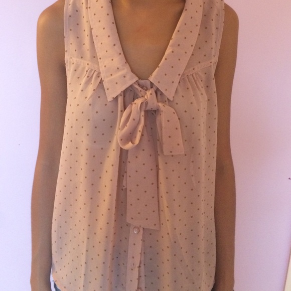 Sheer Dusty Rose Blouse