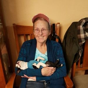 Meet your Posher, Shelia