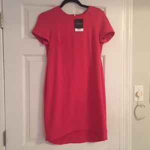 Raspberry Topshop Shift Dress
