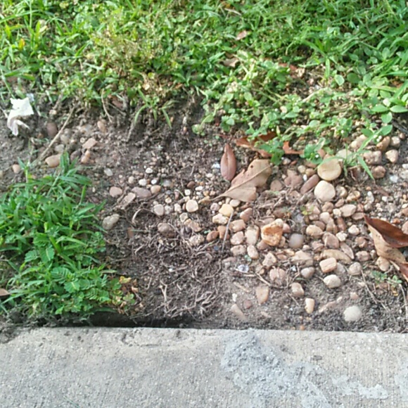 Meet your Posher, Brian - Picture 1 of 1