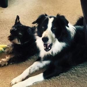 Meet your Posher, Tammy