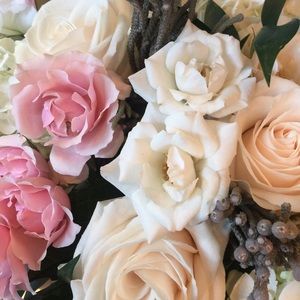 Meet your Posher, Ella