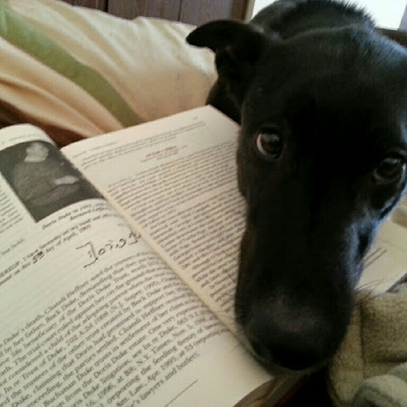 Meet your posher, Sarah - Picture 4 of 4