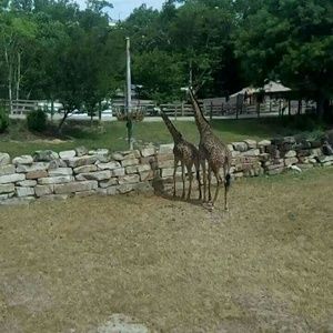 Meet your Posher, Meghan