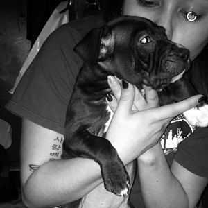 Meet your Posher, Candelaria