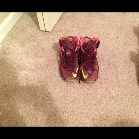 Lebron XII