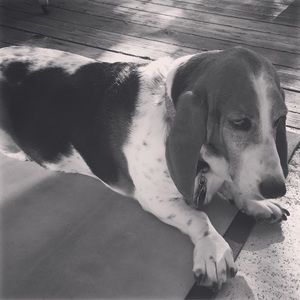 Meet your Posher, Tracy