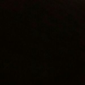 Meet your Posher, Trevor