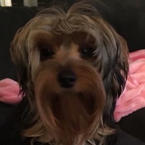 Meet your Posher, Jessica