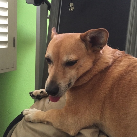 Meet your Posher, Melissa - Picture 1 of 1