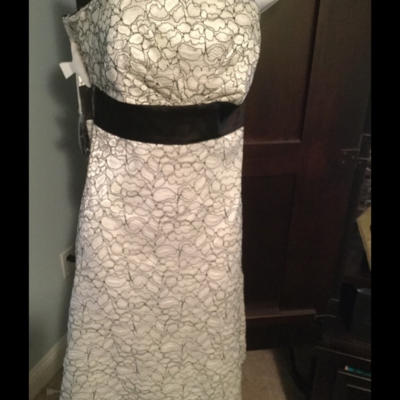 Beautiful lace dress. Black and white. Brand new!