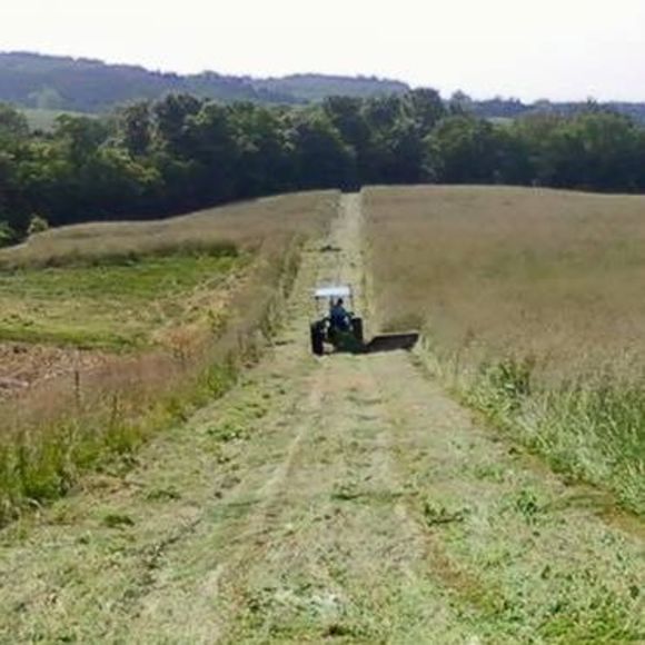 Meet your Posher, Rita - Picture 1 of 1