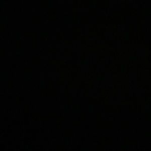 Meet your Posher, Shantil