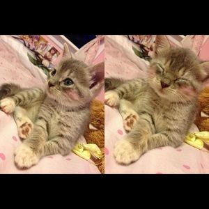 Meet your Posher, Erica