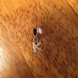 Off brand Pandora charm