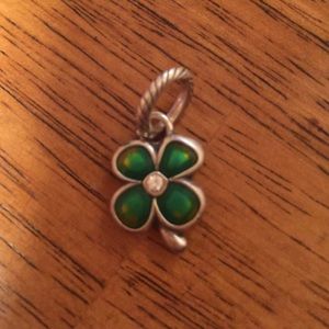 Off brand Pandora charm