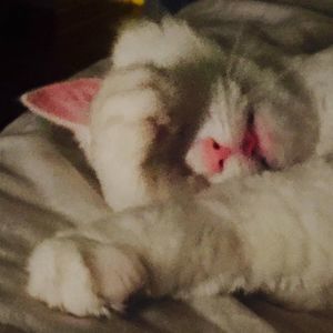 Meet your Posher, Katerina