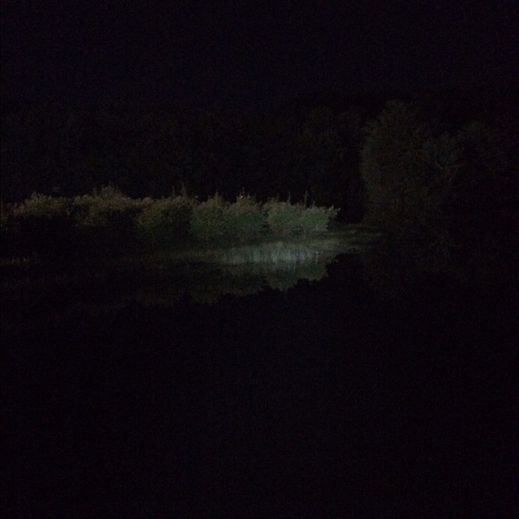 Meet your Posher, Guida - Picture 1 of 1