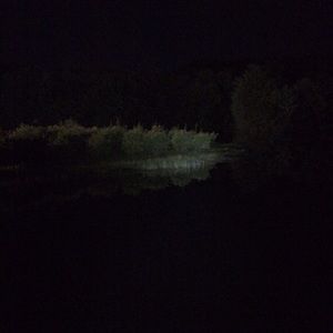 Meet your Posher, Guida