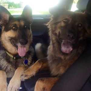 Meet your Posher, Jill