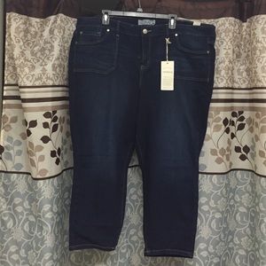 Torrid jeans size 24.