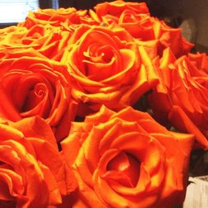 Meet your Posher, Alexa