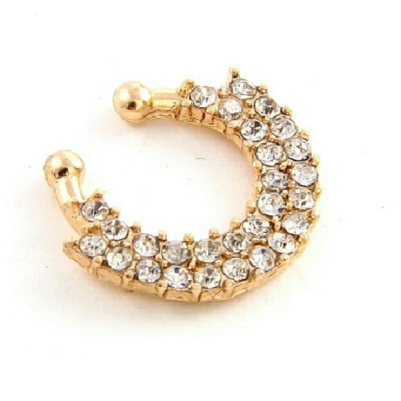 Stylish Nose Ring - Picture 2 of 3