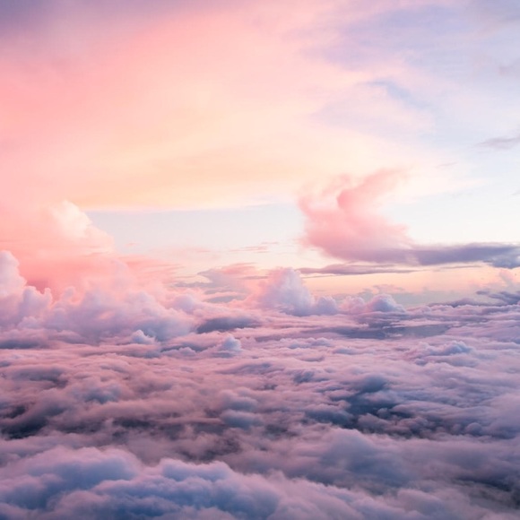 Meet your Posher, Danielle - Picture 1 of 1