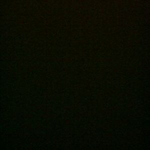 Meet your Posher, Francis