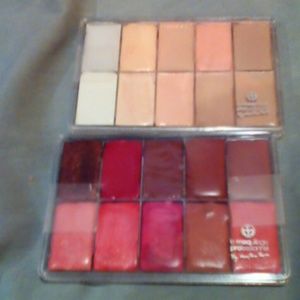 Foundation /lip/ blush maq pro palettes