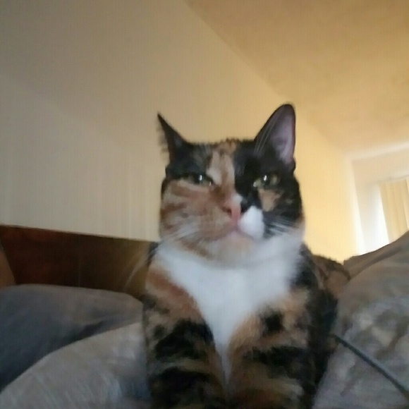 Thank you for your support and Visiting my closet. - Picture 3 of 4