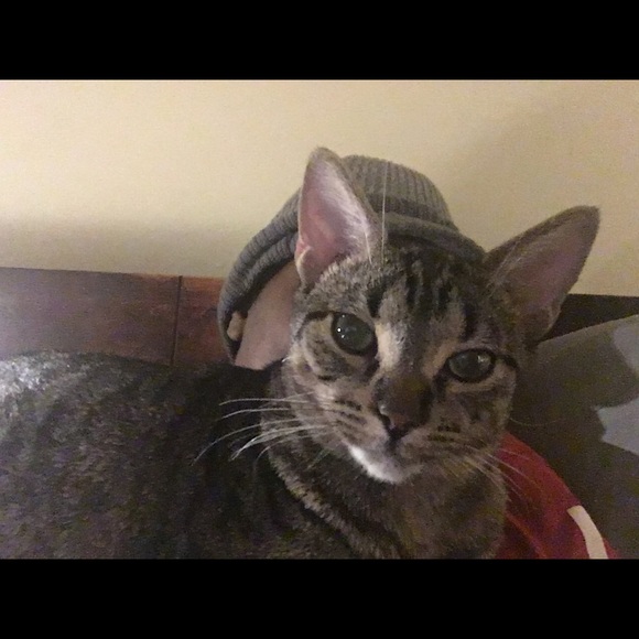 Thank you for your support and Visiting my closet. - Picture 4 of 4