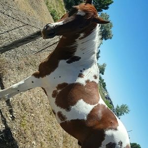 Meet your Posher, Katelyn