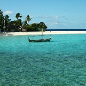 Meet your Posher, Camille