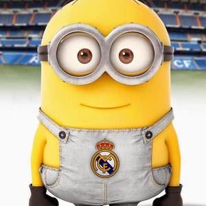 Meet your Posher, Fernando