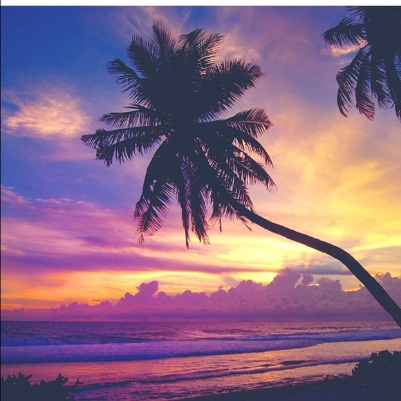 Meet your Posher, Anna - Picture 1 of 1