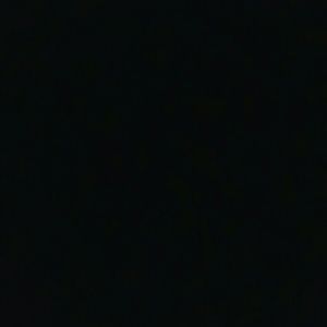 Meet your Posher, Selena