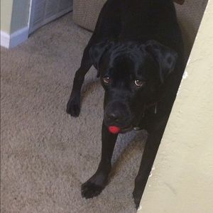 Meet your Posher, Mandy