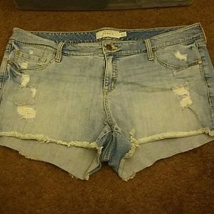 Size 20 Torrid Jean Shorts