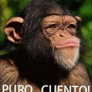 Meet your Posher, Claudia