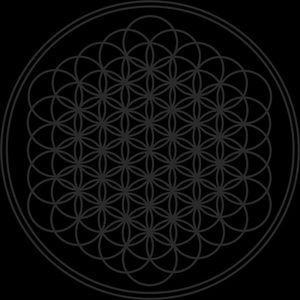 Meet your Posher, Kayle