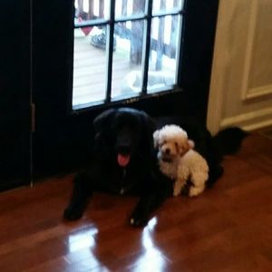 Meet your Posher, Kathy