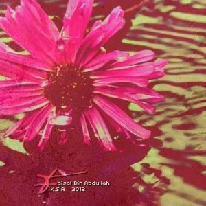 Meet your Posher, Hanan