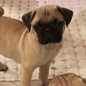 Meet your Posher, Rebecca