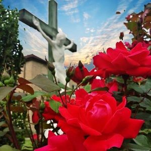 Meet your Posher, Irene