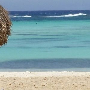 Meet your Posher, Rita