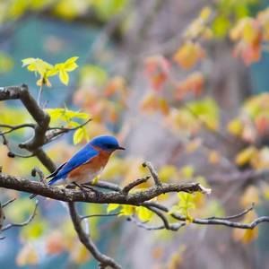 Meet your Posher, Connie