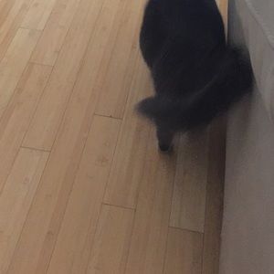 Meet your Posher, Angela