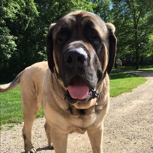 Meet your Posher, Meagan