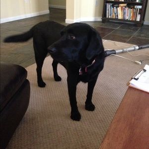 Meet your Posher, Caitlyn